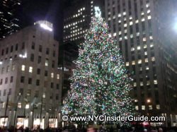 Rockefeller Center Christmas Tree