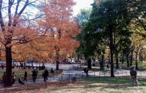 Things to do in New York in Fall