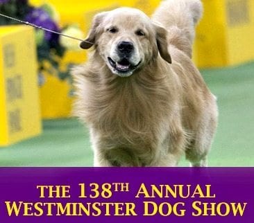 Westminster Kennel Club Dog Show Westminster Kennel Club Dog Show