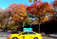disney on ice nyc mickey 39 s search party nov frozen things to do in nyc at christmas 2019