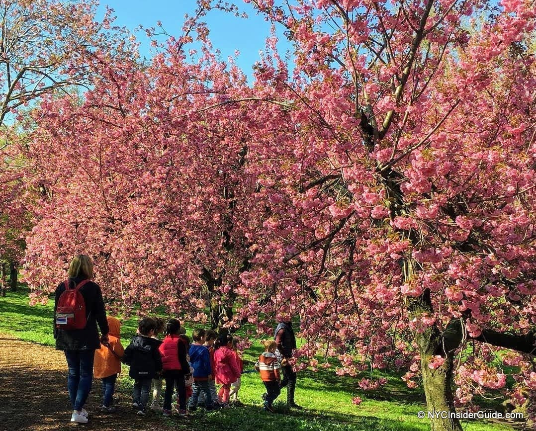 Best Things to do in New York in Spring | Outdoor NYC Activities