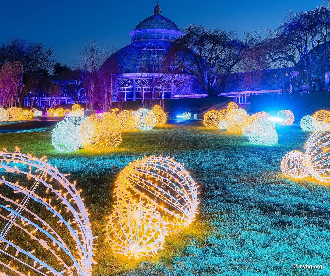 New York Botanical Garden GLOW