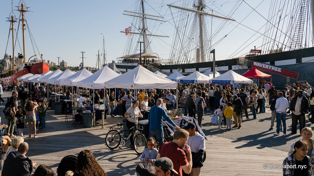 NYC Events November 11
